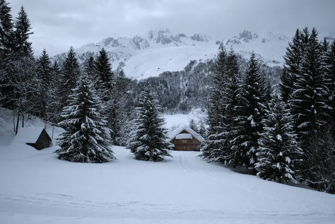 Geneva Chamonix transfer